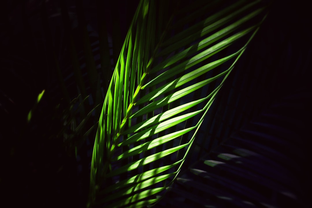 あなたの不動産LPが【放置】される?スタッフ紹介で陥りがちな失敗と対策