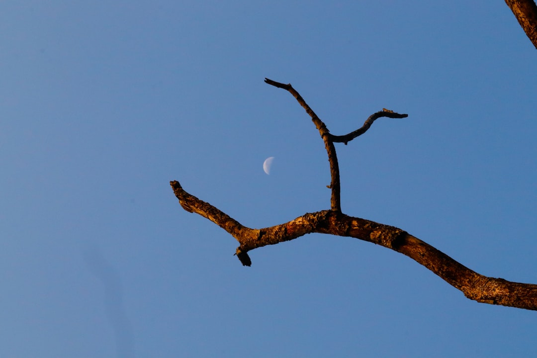 3万円の格安LPに潜む「手抜き」の4大ポイント